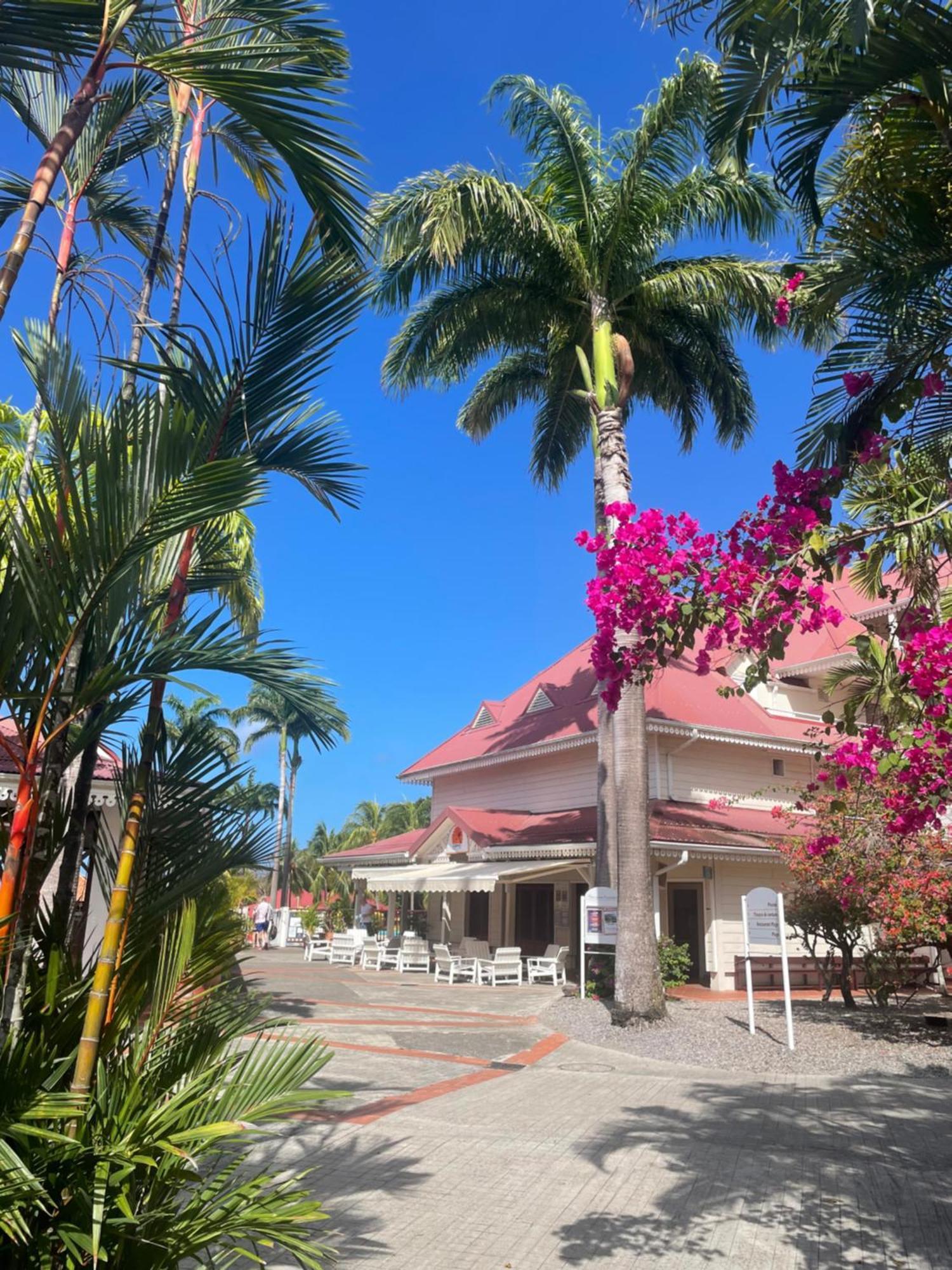 Couleur Caraibes-Cocobeach Martinique Pierre Et Vacances Sainte-Luce Exterior photo