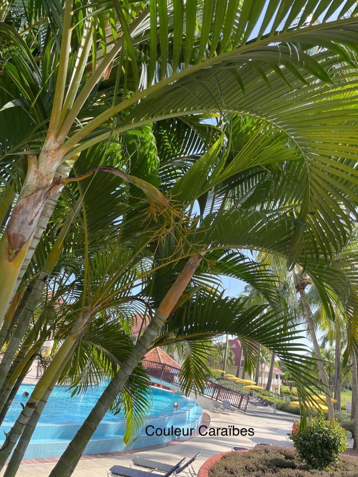 Couleur Caraibes-Cocobeach Martinique Pierre Et Vacances Sainte-Luce Exterior photo