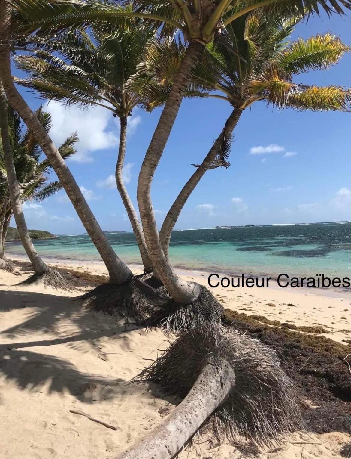 Couleur Caraibes-Cocobeach Martinique Pierre Et Vacances Sainte-Luce Exterior photo